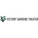 Victory Gardens Presents DISCONNECT, Opening 1/25 Video