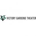 Victory Gardens Presents DISCONNECT, Opening 1/25