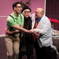 Photo Flash: First Look at Karen Lynn Gorney and More in UNDER THE KNIFE: A FARCE at  Video