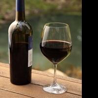 Cellars Wine Club Analyzes Documentary 