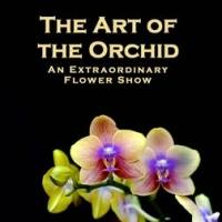 Orchid Show and More Set for The Ware Center's First Friday Today