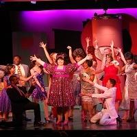 BWW Reviews: HAIRSPRAY Keeps Allenberry Playhouse Held Firmly in Place Video