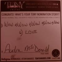 Photo Flash: Six-Word Memoirs from the 2014 Tony Noms Video