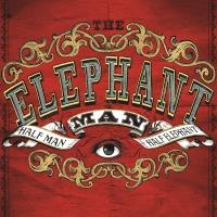 THE ELEPHANT MAN, Starring Bradley Cooper, Begins Performances Tomorrow on Broadway Video