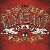 THE ELEPHANT MAN, Starring Bradley Cooper, Begins Performances Tomorrow on Broadway