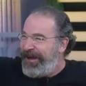 VIDEO: Fox 5 Anchor Leaves Interview with Mandy Patinkin for Wife in Labor Video
