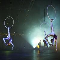 Photo Coverage: Cirque Du Soleil QUIDAM Video