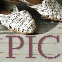 Lyric Arts Opens PICNIC Tonight