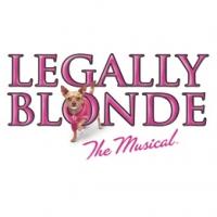 Des Moines Community Playhouse Presents LEGALLY BLONDE THE MUSICAL, Now thru 8/4 Video