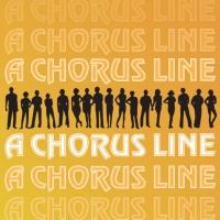 Jessica Lee Goldyn, James Ludwig, Kelly Sheehan and More Set for A CHORUS LINE, Begin Video