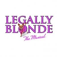 Ocean State Theatre Company's LEGALLY BLONDE THE MUSICAL to Open 7/10 Video