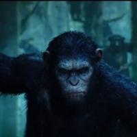 VIDEO: Watch First Official Trailer for DAWN OF THE PLANET OF THE APES Video