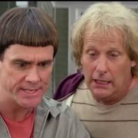 VIDEO: First Look - First International Trailer for DUMB AND DUMBER TO Video