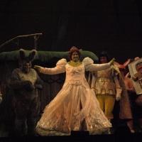 Photo Coverage: 3-D Theatricals Presents the Press Opening Night of SHREK THE MUSICAL Video