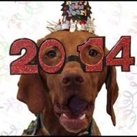 Calling All Dog Lovers: Sleepover Rover Announces 2014 Ruff-Love Challenge