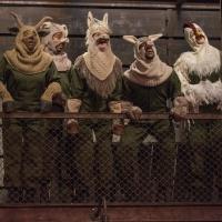 Photo Flash: First Look at Steppenwolf for Young Adults' ANIMAL FARM Video