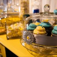 DCPA Hosts 2015 Wedding Showcase & Fashion Event Today