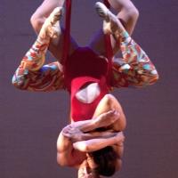 Luminario Ballet Debuts BRACE...YOURSELF at El Portal Theatre, Now thru 6/2 Video