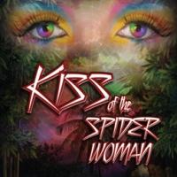Uptown Players to Present KISS OF THE SPIDER WOMAN, Begin. 8/2 Video