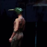 STAGE TUBE: Sneak Peek - BIRDS WITH SKYMIRRORS Plays Tonight at BAM