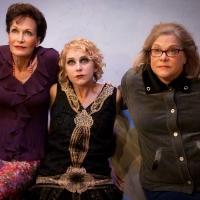 Playwright Cyndi Williams on Austin Playhouse's World Premiere of ROARING Interview