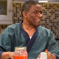 BWW Reviews: The Arden's STICK FLY is a Lively Stage Experience