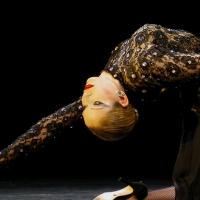 BWW Reviews: Luis Bravo's FOREVER TANGO Delights at Strathmore Video