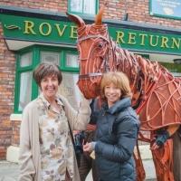 Photo Flash: Joey, Star of WAR HORSE, Visits CORONATION STREET Set