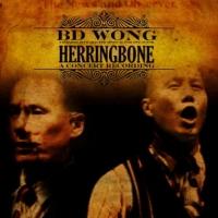 Yellow Sound Label Releases BD Wong's HERRINGBONE Today Video
