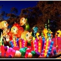 CHINESE LANTERN FESTIVAL 2015 Set for COS New Year Festival