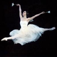 BWW Reviews: American Ballet Theatre Presents GISELLE Video