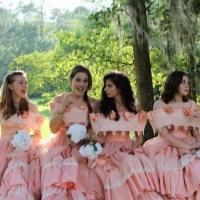 Photo Flash: Meet the Cast of FSU's FIVE WOMEN WEARING THE SAME DRESS Video