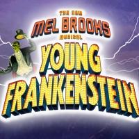 It's Alive! YOUNG FRANKENSTEIN Is Fully Charged at Beck Center, Now thru 8/17 Video