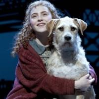Tony-Nominated ANNIE to Launch Tour in 2014-15!