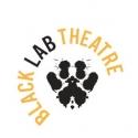 The Black Lab Theatre Presents CHINGLISH in 2012-2013 Season Video