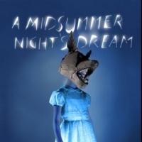 Review Roundup: Julie Taymor's A MIDSUMMER NIGHT'S DREAM Video