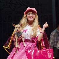 Photo Flash: First Look at Libby Servais, Christopher Carl and More in LEGALLY BLONDE Video