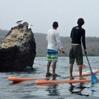 Stand Up Paddleboarding Comes to Galapagos Video