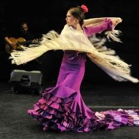 BWW Reviews: A Palo Seco - A Fiery Glimpse into the Flamenco Soul
