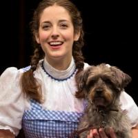 Photo Flash: First Look at THE WIZARD OF OZ at Marriott Theatre