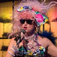 BWW Reviews: THE ANGRY HOUSEWIVES Rock the House at Arizona Broadway Theatre