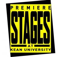 Premiere Stages Partners with Prevention Links for High School Playwriting Residency Video
