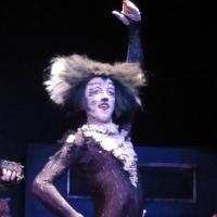 BWW Reviews: CATS at Alpha/Omega Players is Memorable