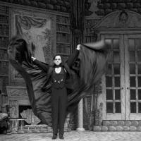 BWW Reviews: Alley Theatre's DRACULA is Elegant and Refined Video