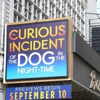 Up on the Marquee: THE CURIOUS INCIDENT OF THE DOG IN THE NIGHT-TIME