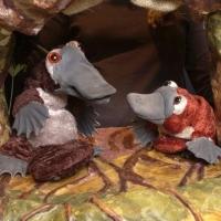 BAREFOOT PUPPETS & More Set for Sandglass' 2014 Winter Sunshine Series