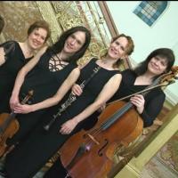 The Orion Ensemble Expands 'Janet's Stage' at Fox Valley Schools Video