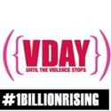 Berkshire County Joins Global 'One Billion Rising' Campaign Video