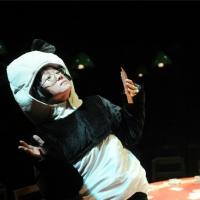 BWW Reviews: OzAsia Festival 2013: FIGHT THE LANDLORD is a Surreal Night of Card Playing