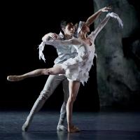 Ballets de Monte-Carlo presents Jean-Christophe Maillot's LAC (AFTER SWAN LAKE), 3/14 Video